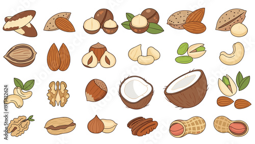 Collection of various nuts and seeds including almonds, cashews, walnuts, peanuts, and coconuts isolated on a white background.