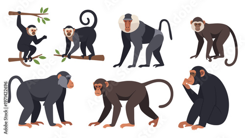 Diverse collection of monkey and ape species including a chimpanzee, baboon, and small primates in different natural poses and actions.