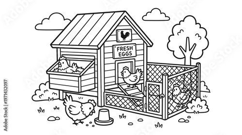 chicken in a fenced yard area.