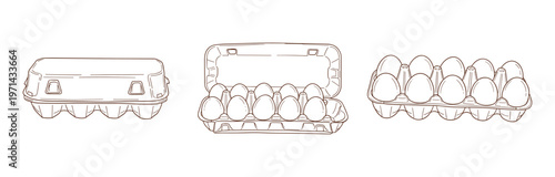 Three egg carton options including closed, opened, and tray, vector illustration outline.