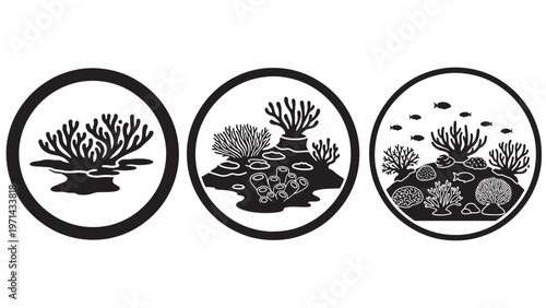 Stylized black and white vector illustrations of diverse coral reef ecosystems, featuring marine life and fish in a detailed icon set.