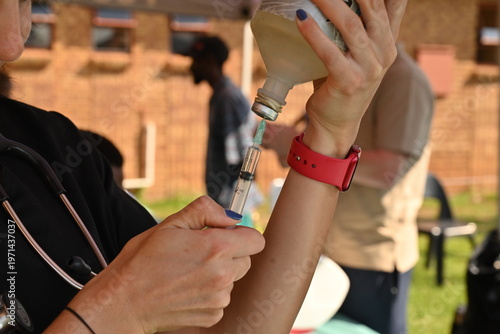 Fotografie A vet fills a syringe to inoculate a dog in Johannesburg.