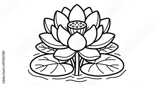 Black and white line art lotus.