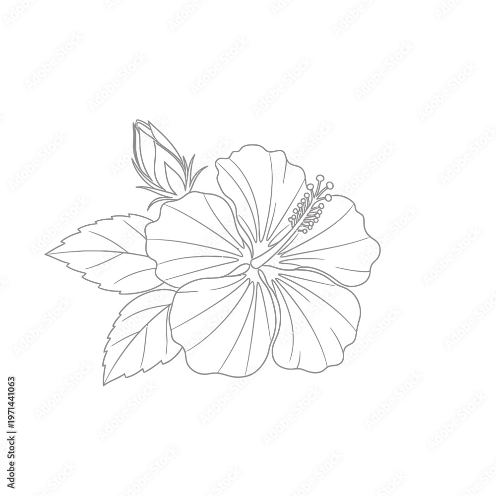 Obraz premium Silhouette Of A Flower With Leaves On A White Background silhouette