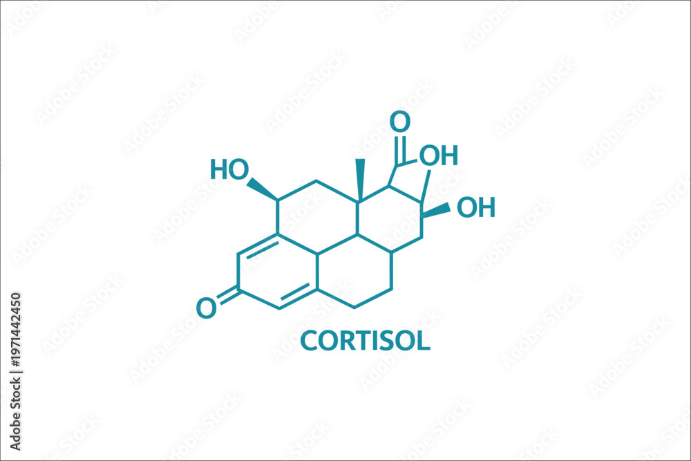 Fototapeta premium Cortisol Chemical Structure Formula Vector Illustration