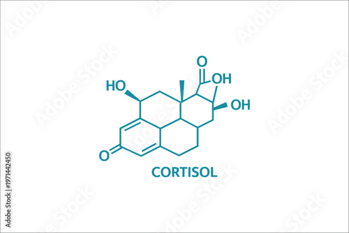 Cortisol Chemical Structure Formula Vector Illustration