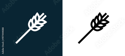 Two-color wheat outline icon pair in black and white, editable stroke vector illustration for web, mobile apps, UI design, branding, and print from nature