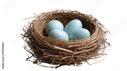 Foto Four light blue speckled eggs nestled in a rustic twig bird s nest, isolated on