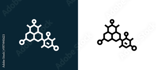 Two-color molecular outline icon pair in black and white, editable stroke vector illustration for web, mobile apps, UI design, branding, and print from science