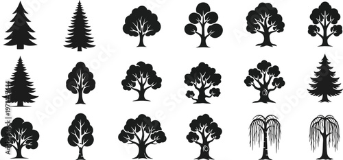 Collection of black silhouette of various trees including pine trees deciduous trees and weeping willows
