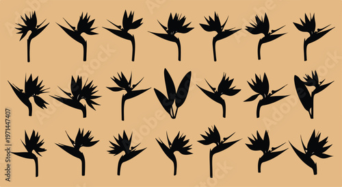 Collection of black silhouette bird of paradise flowers arranged in a repeating pattern on a tan background