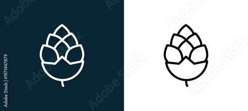 Two-color pine cone outline icon pair in black and white, editable stroke vector illustration for web, mobile apps, UI design, branding, and print from seasons