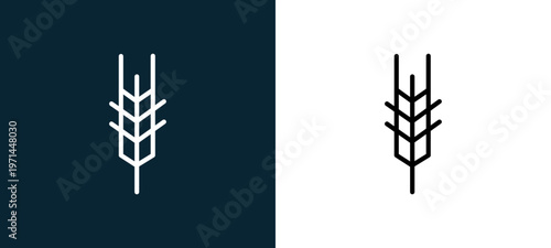 Two-color wheat outline icon pair in black and white, editable stroke vector illustration for web, mobile apps, UI design, branding, and print from seasons