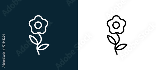 Two-color daisy outline icon pair in black and white, editable stroke vector illustration for web, mobile apps, UI design, branding, and print from seasons