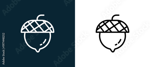 Two-color acorn outline icon pair in black and white, editable stroke vector illustration for web, mobile apps, UI design, branding, and print from seasons