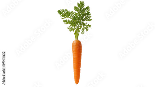 Tableau sur toile Fresh orange carrot with green leafy tops, isolated on transparent background