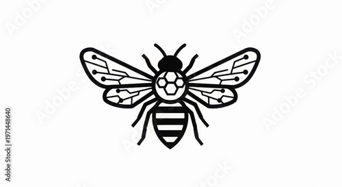 Black and White Bee Illustration.
