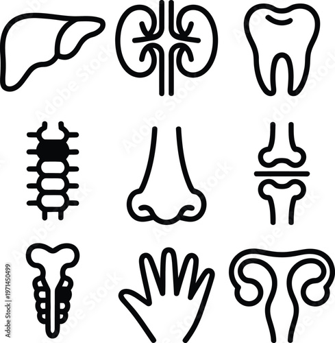 Collection of black and white icons depicting various human anatomical parts