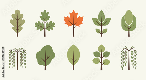 Collection of ten stylized trees in various green and orange hues on a cream background nature autumn
