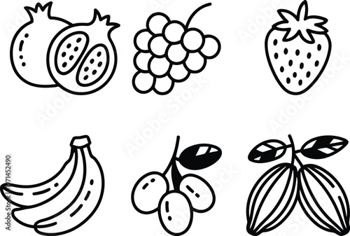 Illustrated depiction of six distinct tropical and temperate fruits