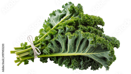 Obraz na plátně Fresh green kale leaves tied with white twine, isolated on transparent backgroun