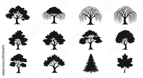 Twelve black silhouette of various trees and a maple leaf on a white background black and white deciduous tree