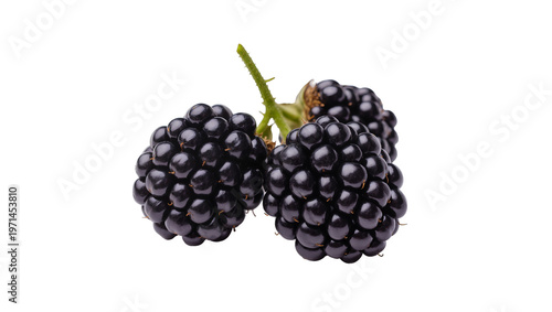 Foto Three ripe blackberries on a green stem, isolated on transparent background