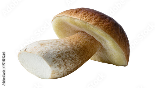 Billede på lærred Edible porcini mushroom with brown cap and thick stem, isolated on transparent b