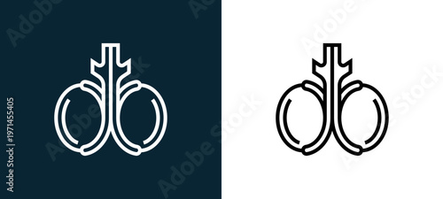 Two-color testicles outline icon pair in black and white, editable stroke vector illustration for web, mobile apps, UI design, branding, and print from human organs