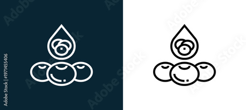 Two-color blood cell outline icon pair in black and white, editable stroke vector illustration for web, mobile apps, UI design, branding, and print from human organs