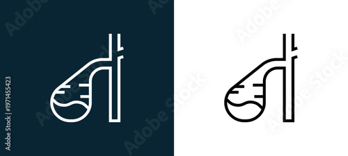 Two-color gallbladder outline icon pair in black and white, editable stroke vector illustration for web, mobile apps, UI design, branding, and print from human organs