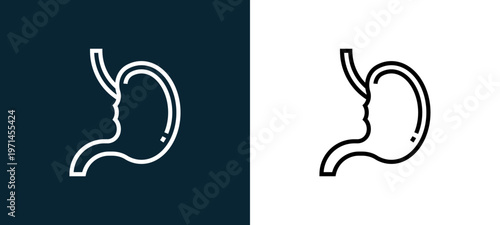 Two-color stoh outline icon pair in black and white, editable stroke vector illustration for web, mobile apps, UI design, branding, and print from human organs