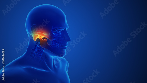 Temporomandibular Joint Pain Anatomy Medical Concept