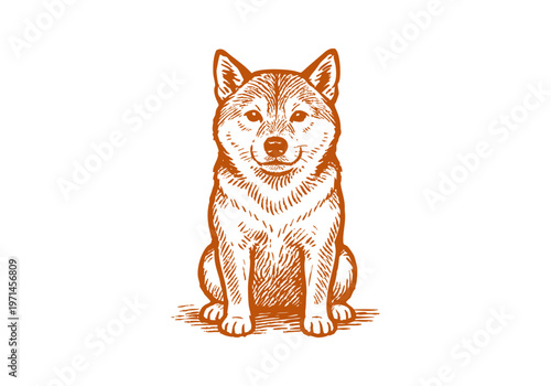 Shiba Inu hand drawn simple sketch vector illustration