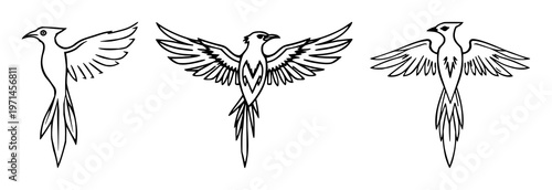 Southwest thunderbird symbol set with black line art design featuring Native American culture, tribal patterns, ethnic motifs with spiritual elements and decorative art