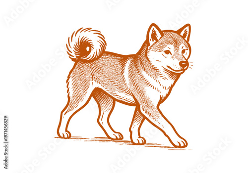 Shiba Inu hand drawn simple sketch vector illustration