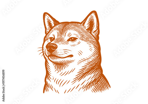 Shiba Inu hand drawn simple sketch vector illustration