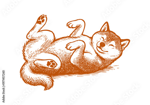 Shiba Inu hand drawn simple sketch vector illustration