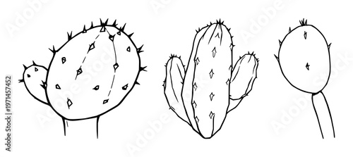 Prickly pear cactus pad set with black line art on white background featuring cactus, desert plant, botanical illustration with minimal lines and botanical detail