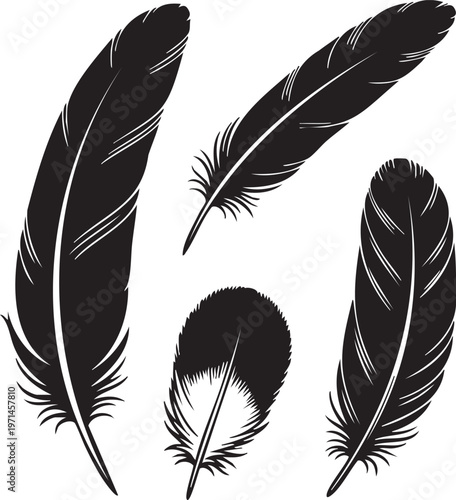 Four black feathers on a white background