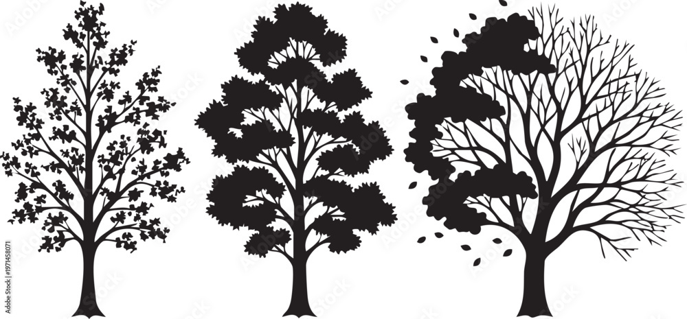 Obraz premium Seasonal tree silhouettes in a row