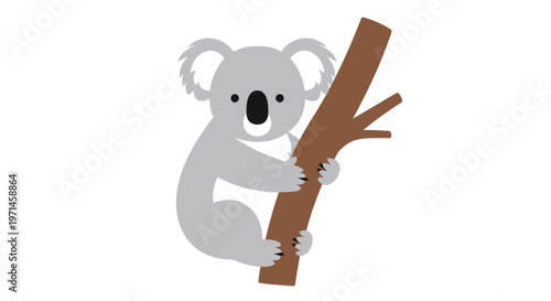 Cute Koala Hanging on Tree Branch.