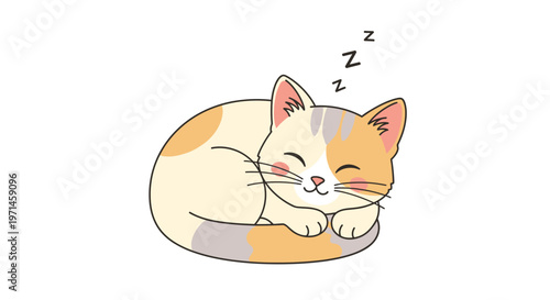 Sleeping Orange and White Cute Cat.