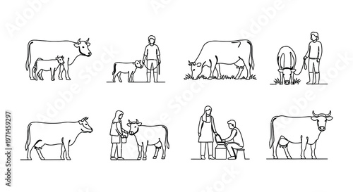 Line art illustrations of farmers with cows and calves in a rural scene