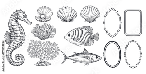 Marine frames and sea elements set, vintage ocean collection with seahorse, fish, shells and coral, hand drawn engraving vector