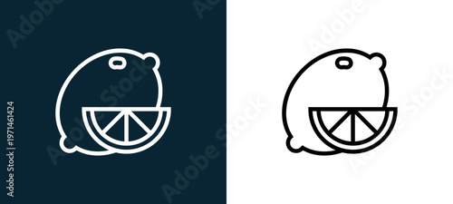 Two-color lemon outline icon pair in black and white, editable stroke vector illustration for web, mobile apps, UI design, branding, and print from gastronomy