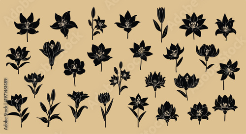 Collection of elegant black lily flowers and buds in silhouette against a textured beige background