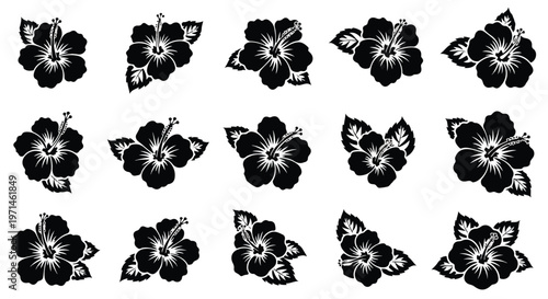 Collection of black hibiscus flowers and leaves arranged in a decorative pattern on a white background