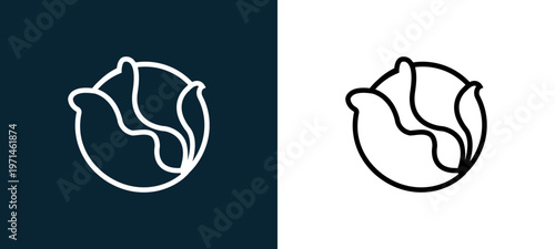 Two-color cabbage outline icon pair in black and white, editable stroke vector illustration for web, mobile apps, UI design, branding, and print from gastronomy