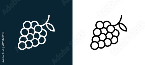 Two-color grapes outline icon pair in black and white, editable stroke vector illustration for web, mobile apps, UI design, branding, and print from gastronomy